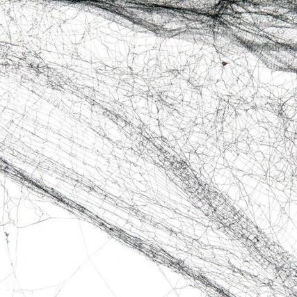 Tomás Saraceno, Solitary semi-social mapping FK5 159 by a solo Nephila senegalensis - 5 weeks, a sextet of Cyrtophora citricola - 4 weeks (Detail)